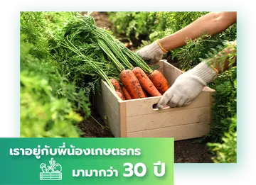 เกี่ยวกับเรา