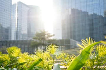 giant-office-buildings