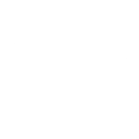 icon-pin