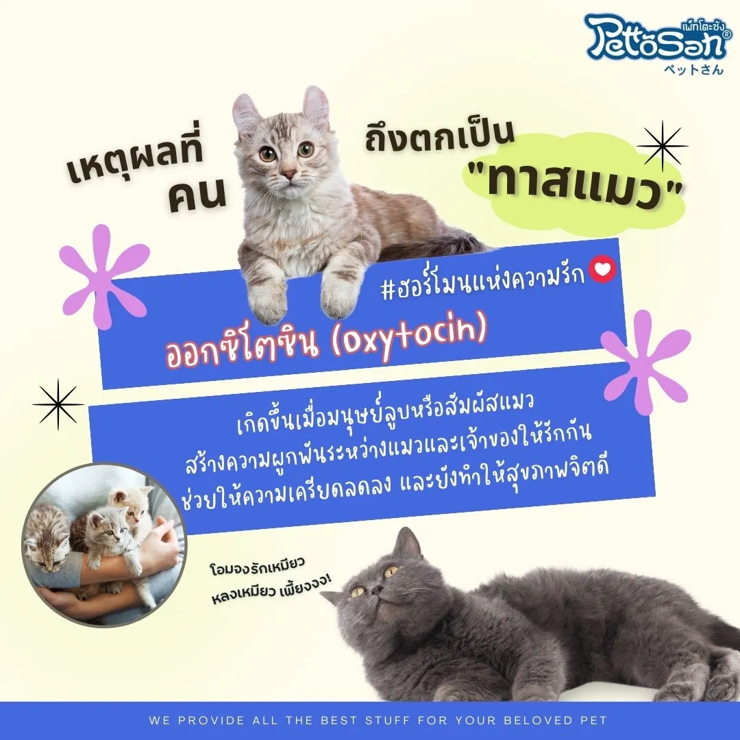 pettosan