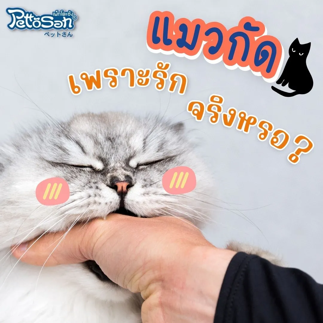 pettosan