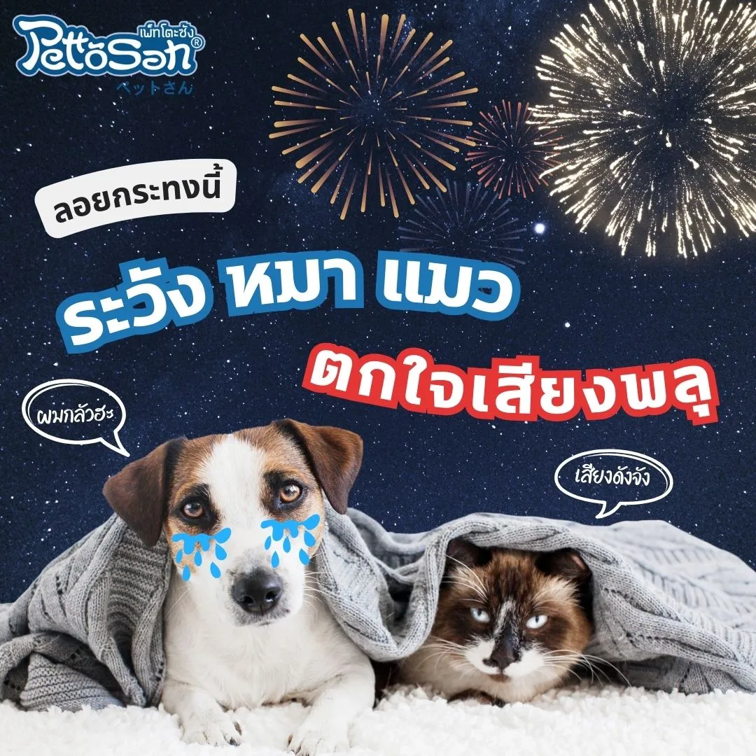 pettosan