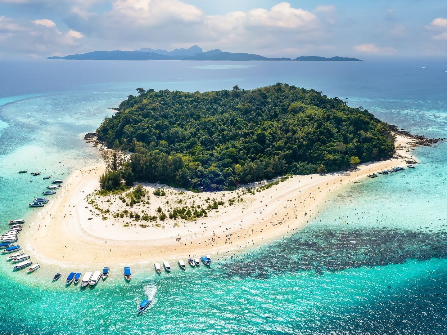 Bamboo island