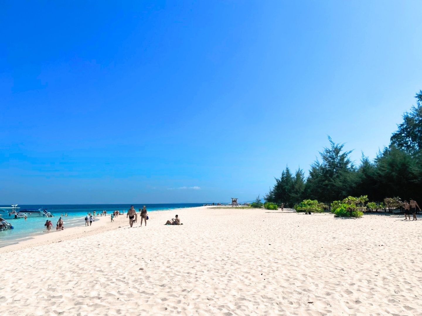 Bamboo Island
