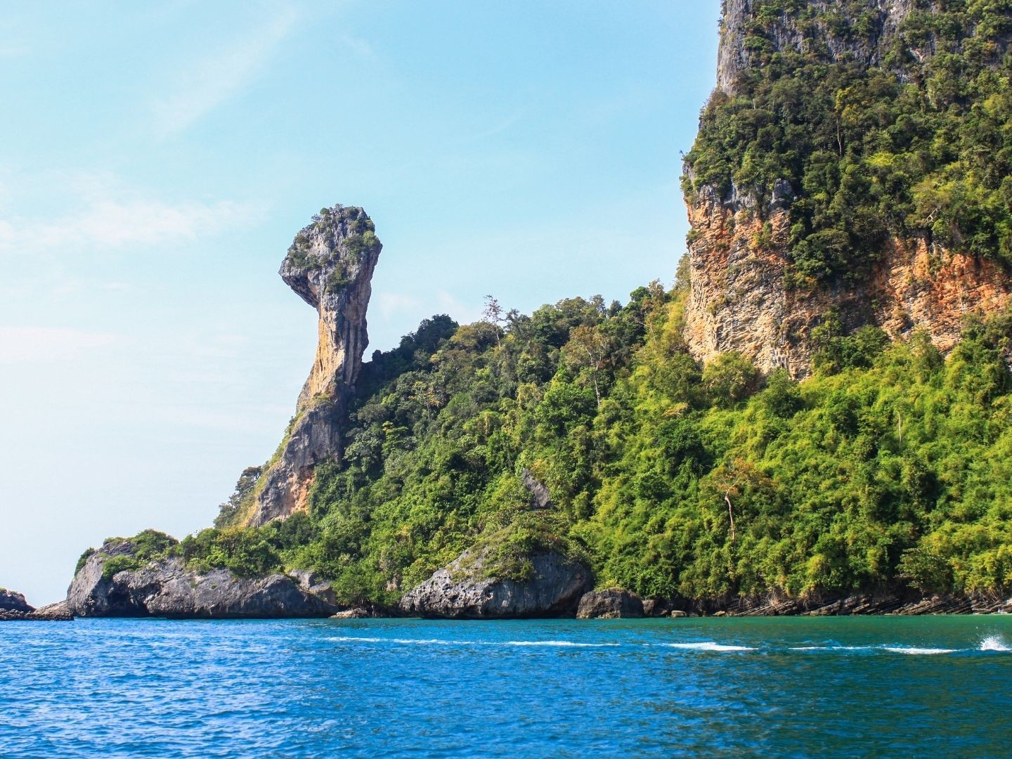 Chicken island