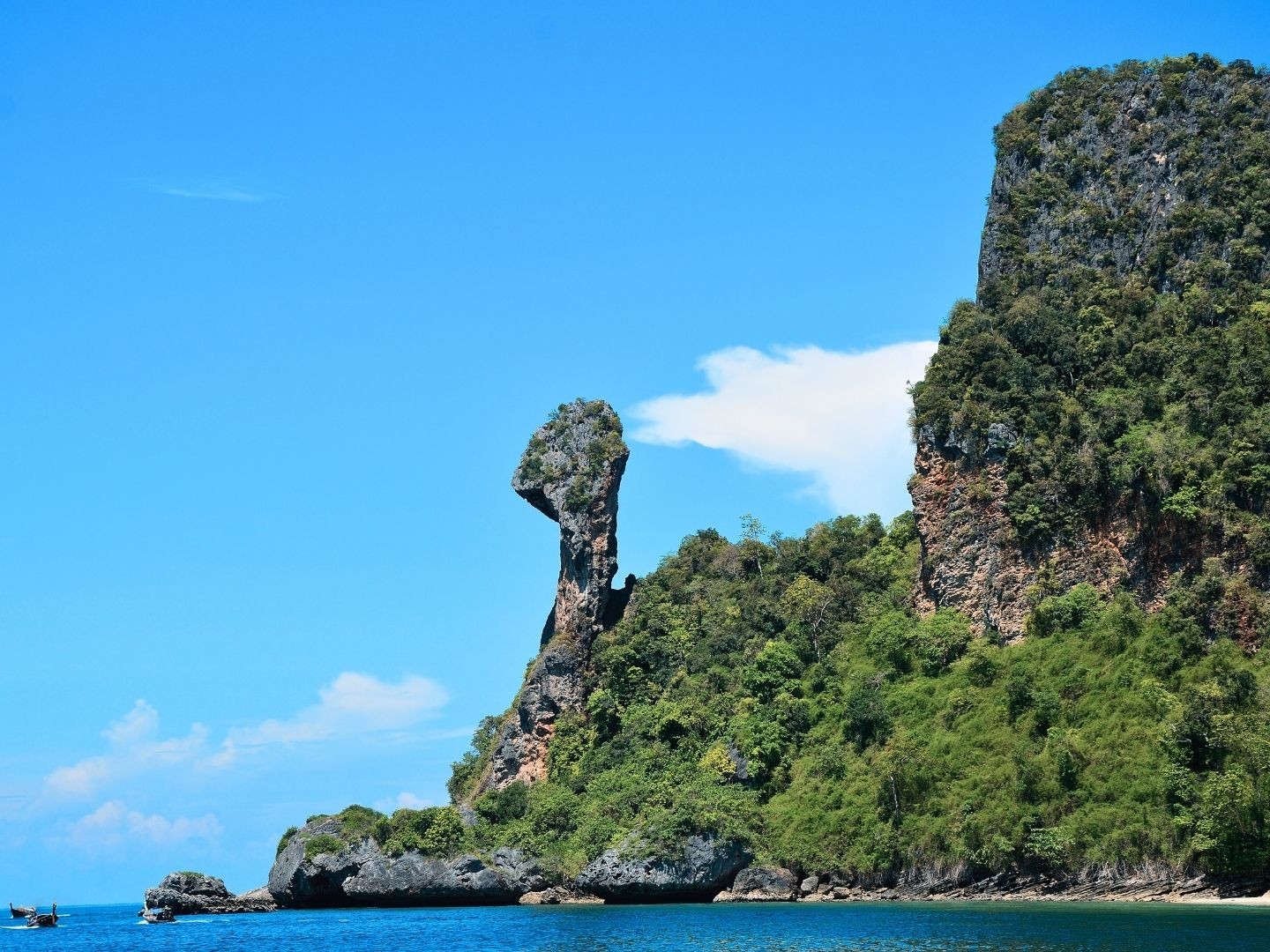 Chicken island