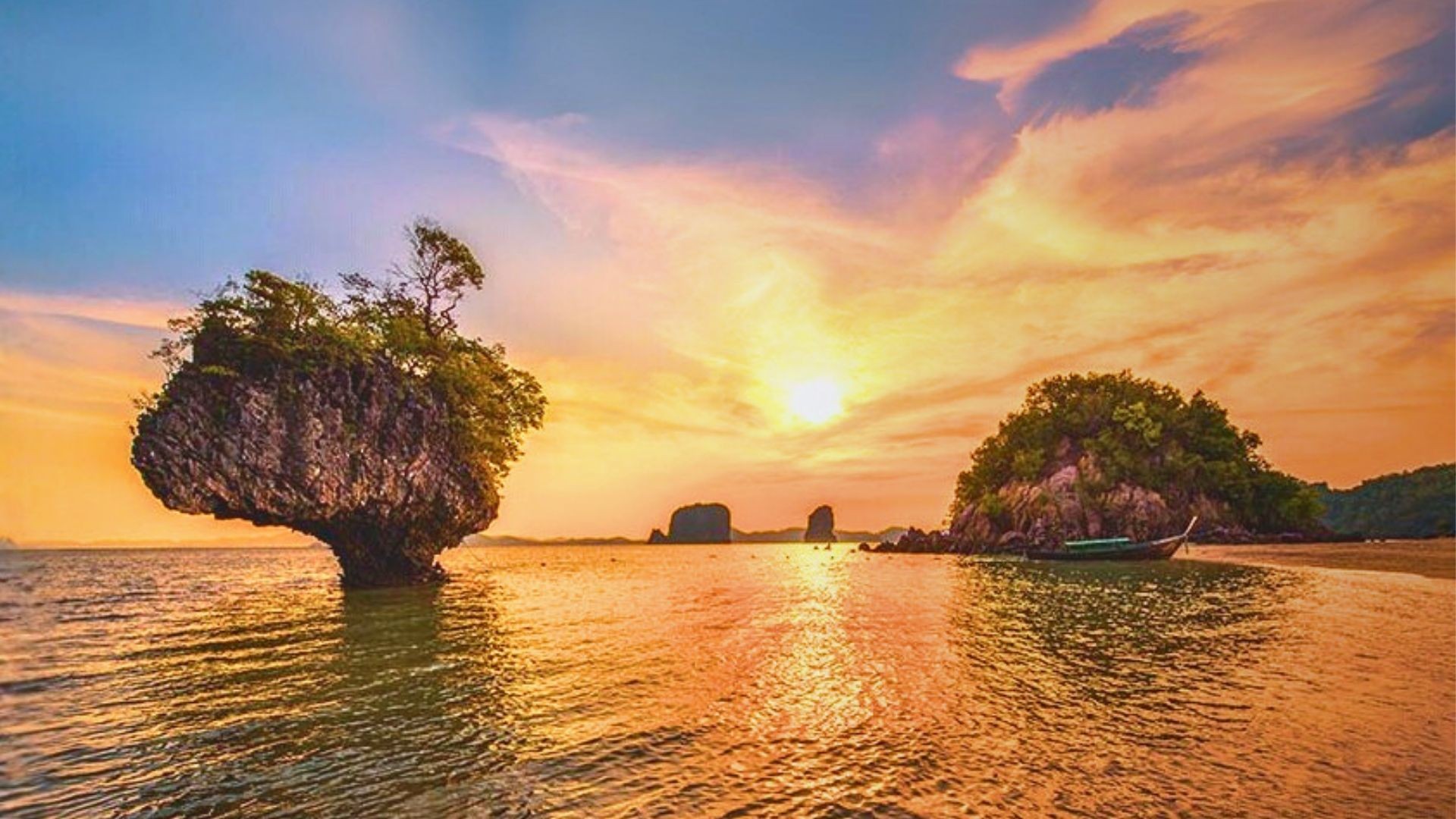 Half day Hong islands Sunset & Plankton tour