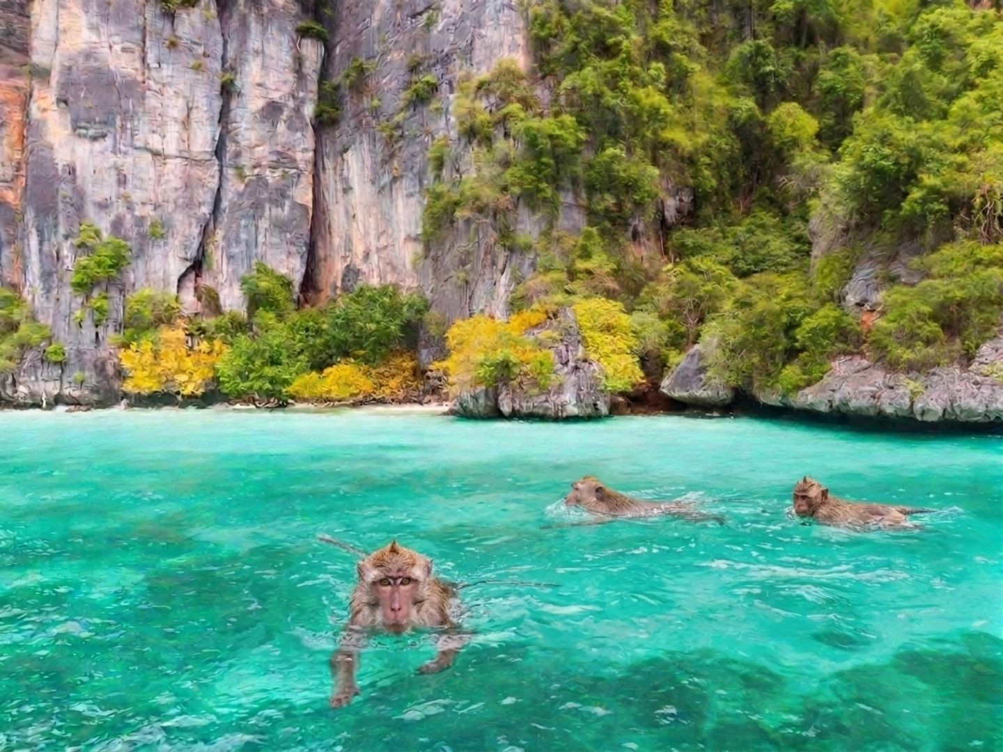 Monkey Bay