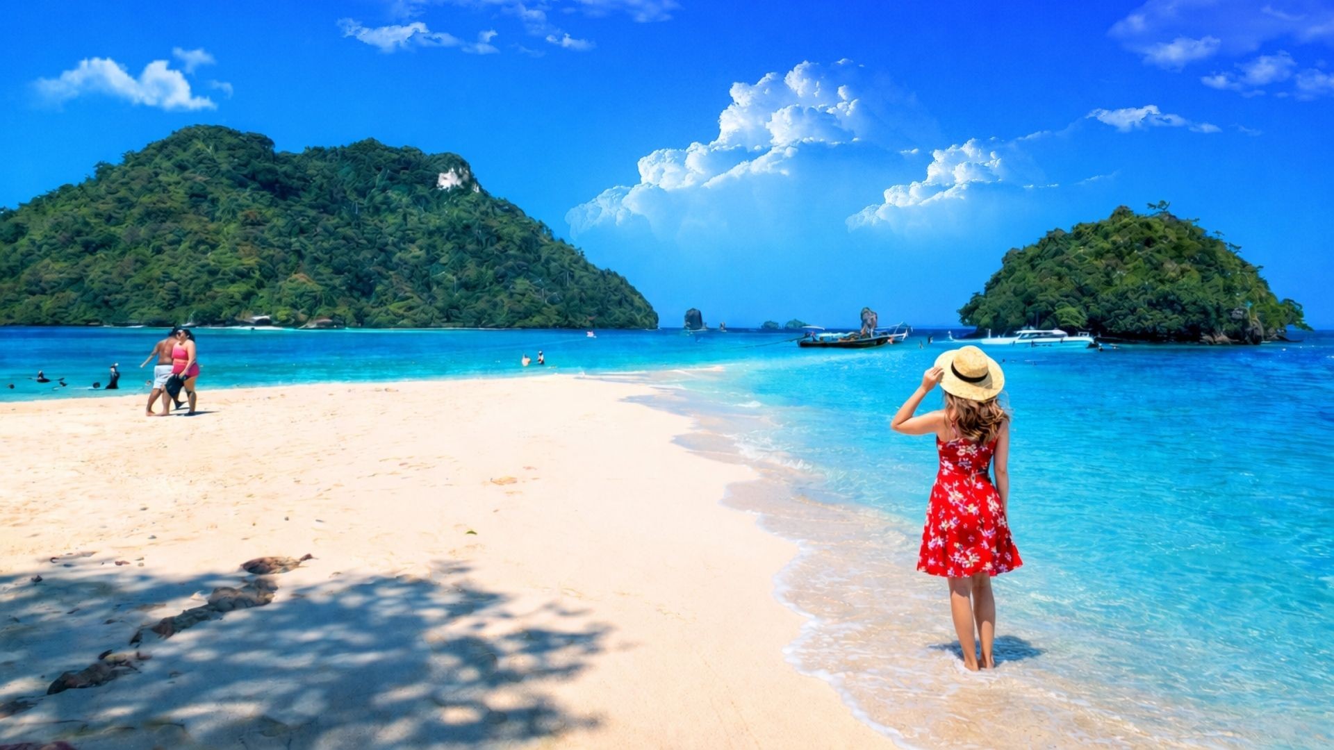 One day Phi Phi islands Tour SpeedBoat
