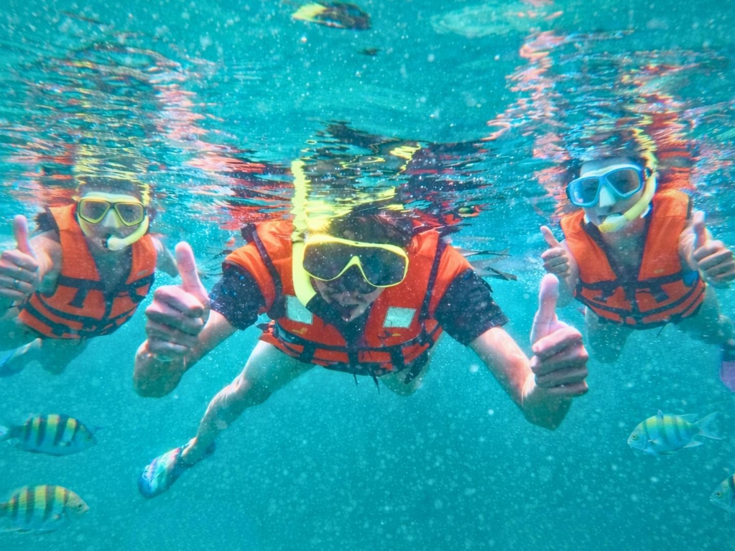 Snorkeling