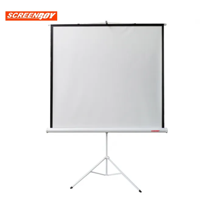 veerachaiprojector2