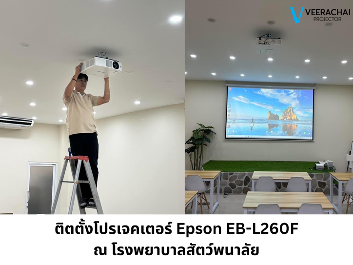 สัตว์
