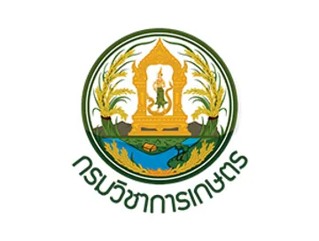 thaicoffee6