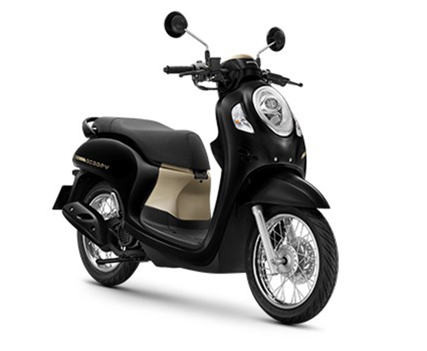 PrestigeBlack-Brown-