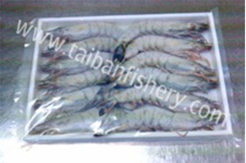 taibanfishery-pic10