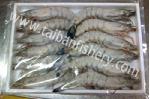 taibanfishery-pic11