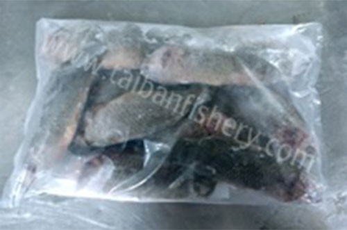 taibanfishery-pic13