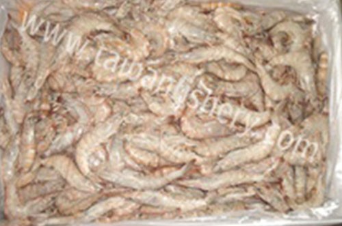 taibanfishery-pic13
