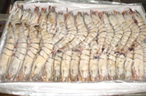 taibanfishery-pic14