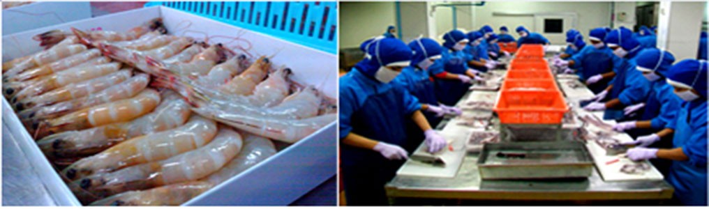 taibanfishery-pic15