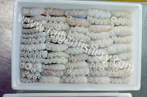 taibanfishery-pic1