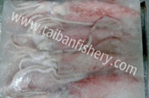 taibanfishery-pic2