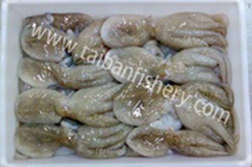 taibanfishery-pic2
