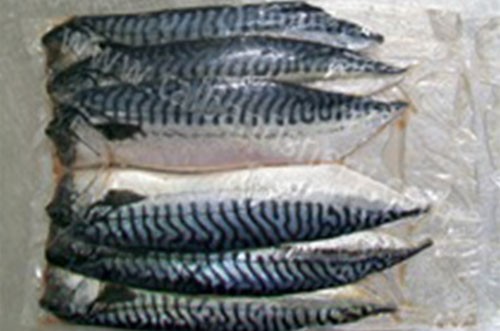 taibanfishery-pic2