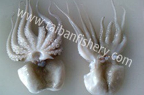 taibanfishery-pic3