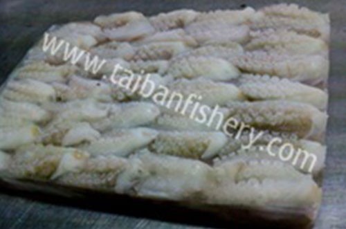taibanfishery-pic4