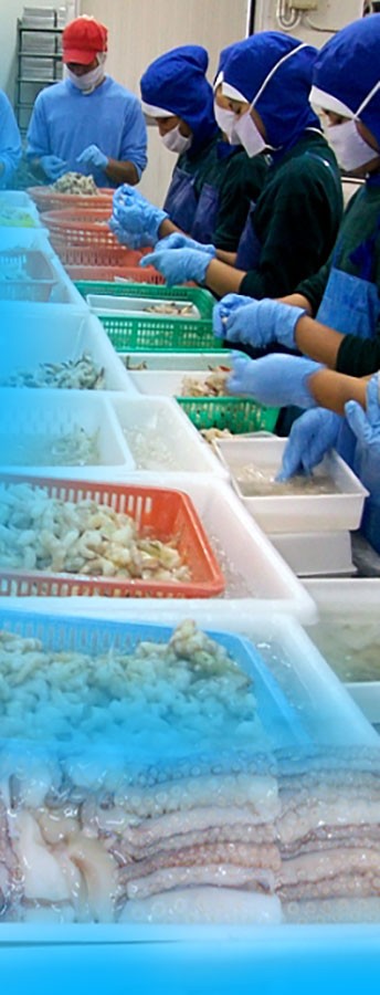 taibanfishery-pic4