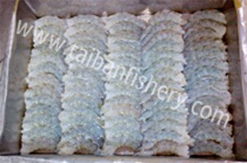 taibanfishery-pic5