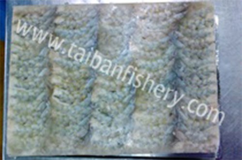taibanfishery-pic6