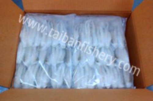 taibanfishery-pic7