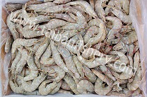 taibanfishery-pic7