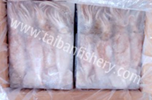 taibanfishery-pic7