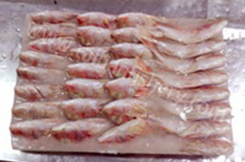 taibanfishery-pic9