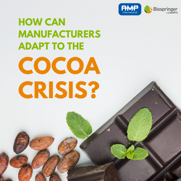 CocoaCrisis