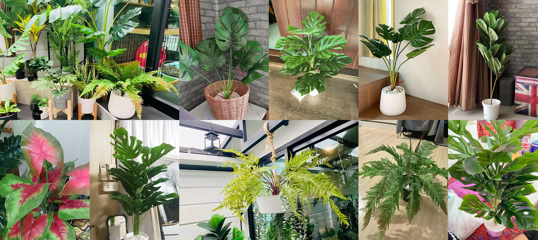 leeartificialplants-review2