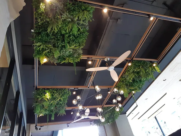 สวนฝ้าเพดาน-1