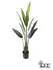 BirdofParadise1