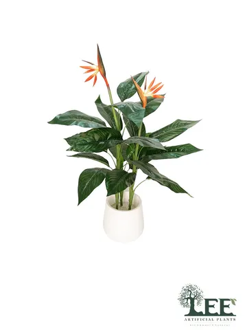 BirdofParadise1