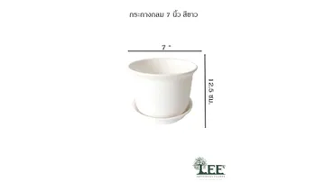 ขนาด