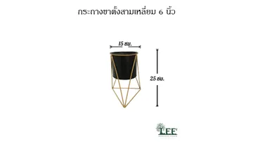 ขนาด