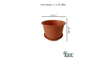 ขนาด