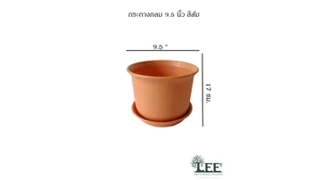 ขนาด