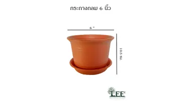 ขนาด