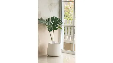 เวบ