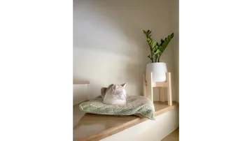 เวบ
