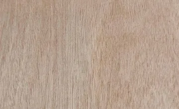 bg3-suksawadplywood